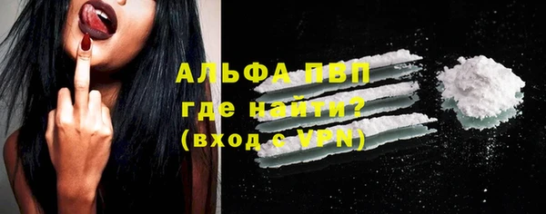 шишки Беломорск