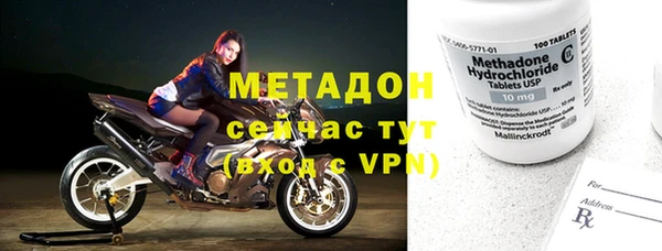 шишки Беломорск