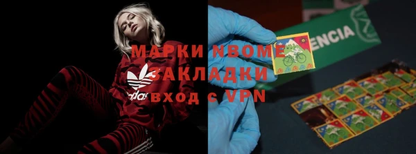 шишки Беломорск