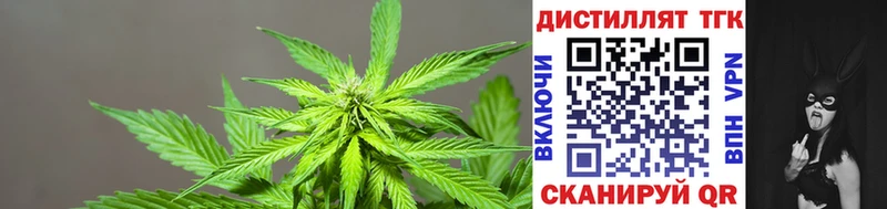 Дистиллят ТГК концентрат  Северская 